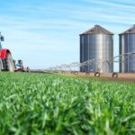 Agricultural Economics and Farm Management