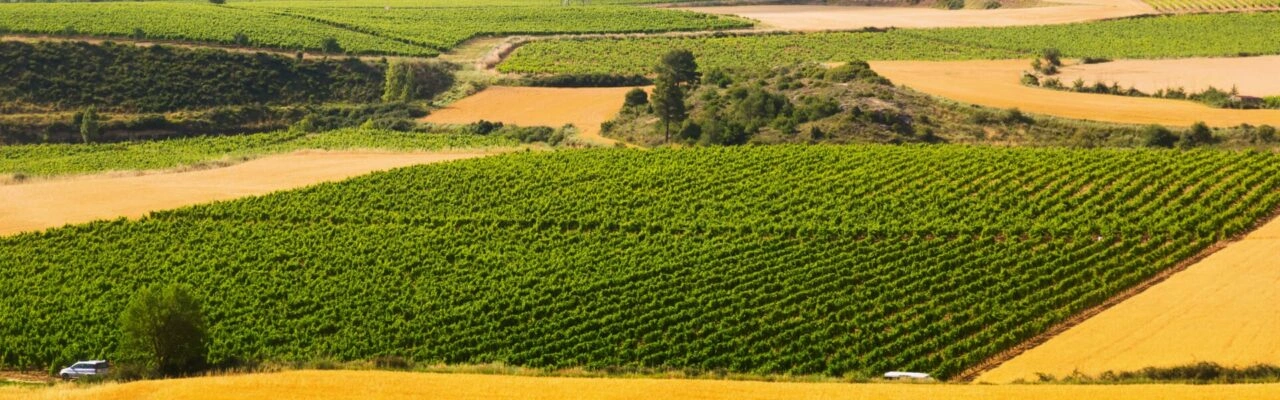 Agriculture Cooperative Management