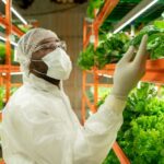 Crop Science And Horticulture