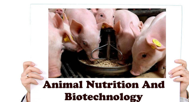 Animal Nutrition and Biotechnology