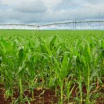 Crop And Environmental Protection