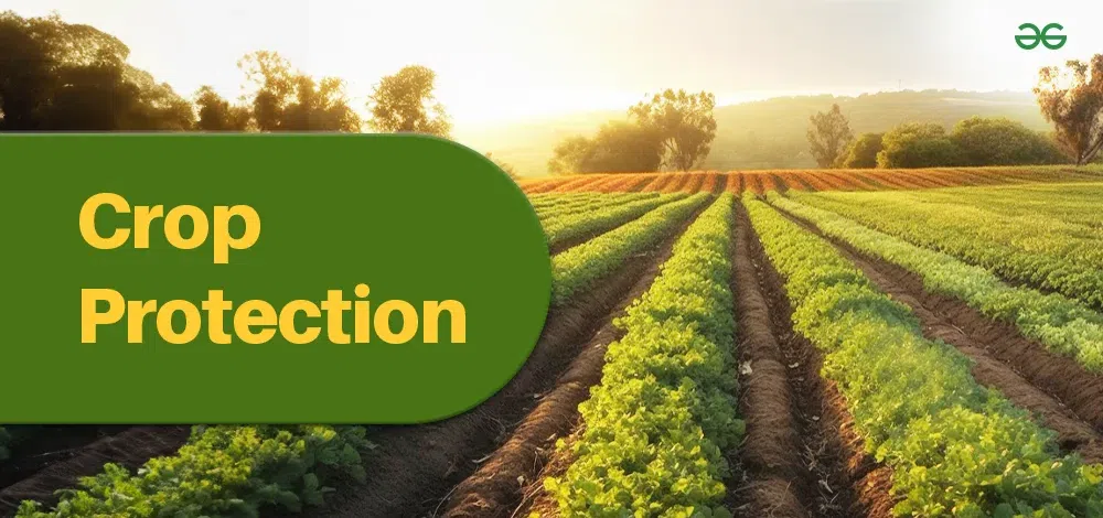 Crop Production And Protection