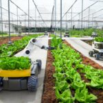 Crop Production Technology