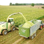 Agricultural Economics and Extension