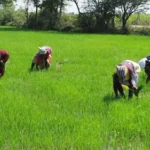 Agricultural Resource Extension