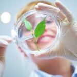 Crop Science And Biotechnology