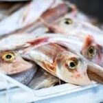 Animal Science And Fisheries