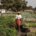 Agricultural Extension and Rural Development