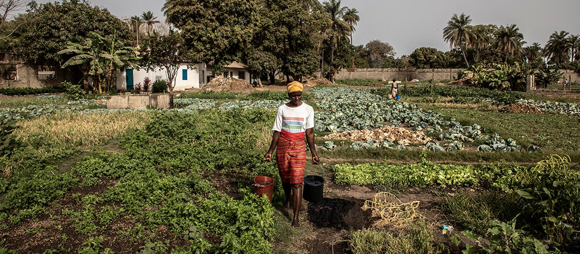 Agricultural Extension and Rural Development