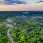 Forestry and Wildlife