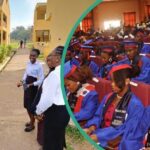 ab161c7bf7c002ad22e66ee50b3badfa